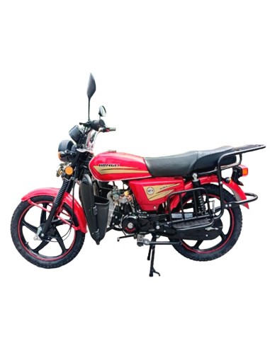Hongli HL110-B