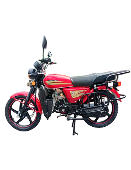 Hongli HL110