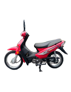 Hongli HL110-C