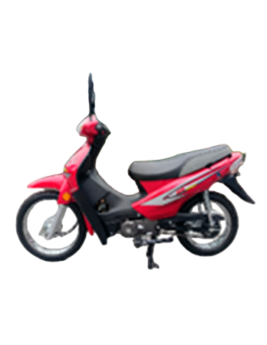 Hongli HL110-C