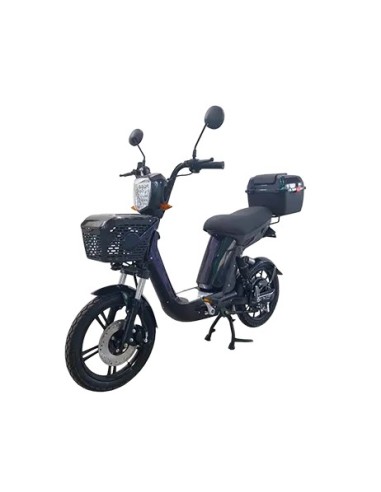 Moto eléctrica B2 y B3